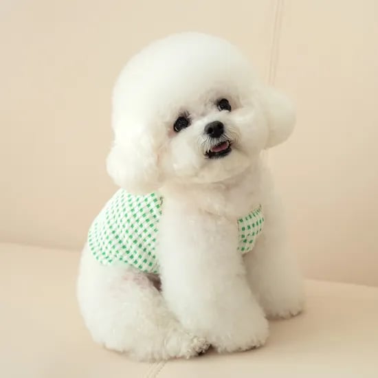 강아지옷 강아지여름옷 멜론크롭나시티
