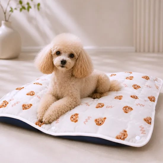 강아지 방석 고양이 쿠션 매트 유모차 개모차 커버분리 특허 원터치 꿀잠 떠블유곰 소