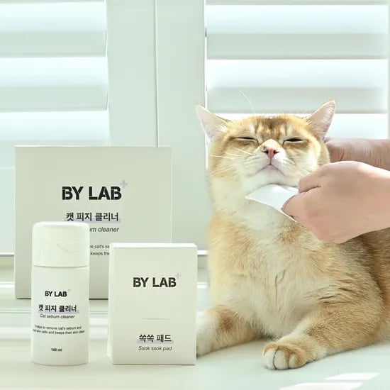 바이랩 캣피지클리너 고양이 턱드름 제거 블랙헤드 세정제 100ml, 1개