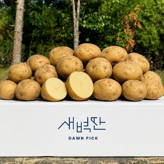 26년 수확 강원도 두백감자 2kg 5kg