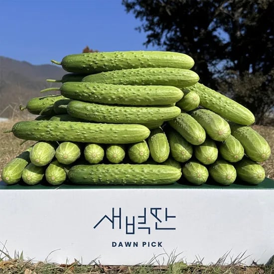 국내산 상주 백다다기 백오이 1kg, 5개