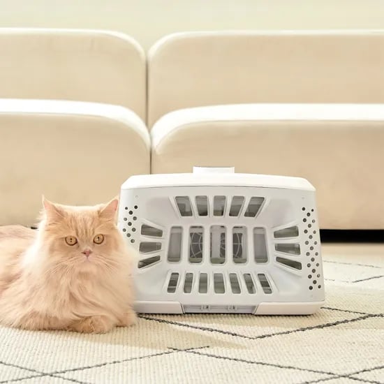 페페 앱스퍼 퍼캐쳐 강아지 고양이 털포집기 펫드라이기 적외선 조사기 AF-100