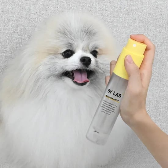 바이랩 강아지 세럼 미스트 피부 저자극 보습제 정전기 털엉킴 냄새 제거 50ml, 1개