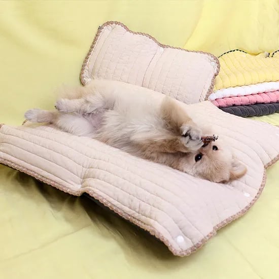 강아지 이불 방석 일체형 침낭 고양이 숨숨집 쿠션 포켓 원터치 모달 베이지 소