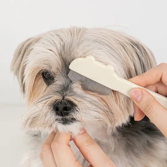 바잇미 젤리곰 라운드 페이스콤 강아지 고양이 얼굴 브러시 눈물 눈꼽 빗