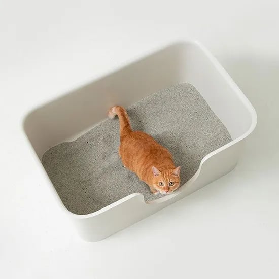 푸푸박스 롱 고양이 초대형 항균 화장실