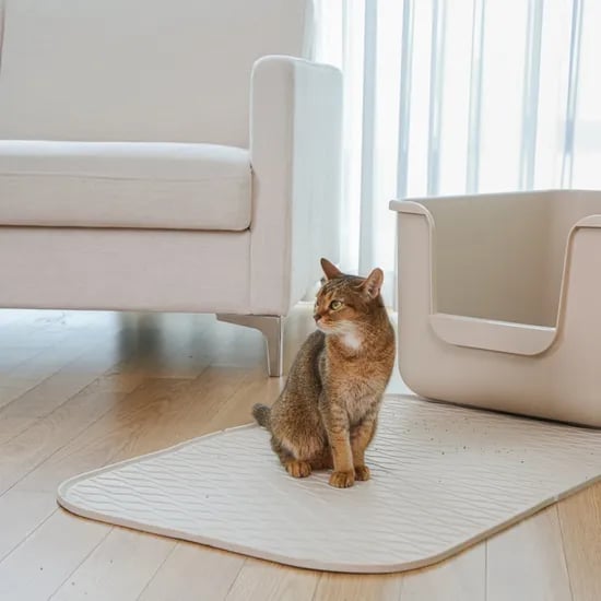 묘래매트 고양이 화장실 사막화 방지 모래매트