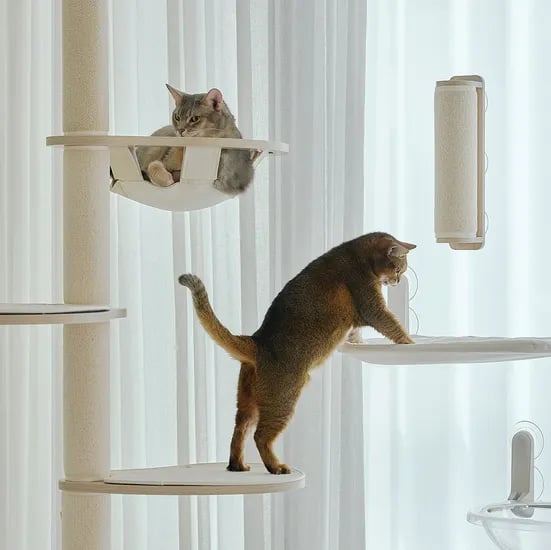 초강력 흡착! 고양이 창문 해먹 캣타워