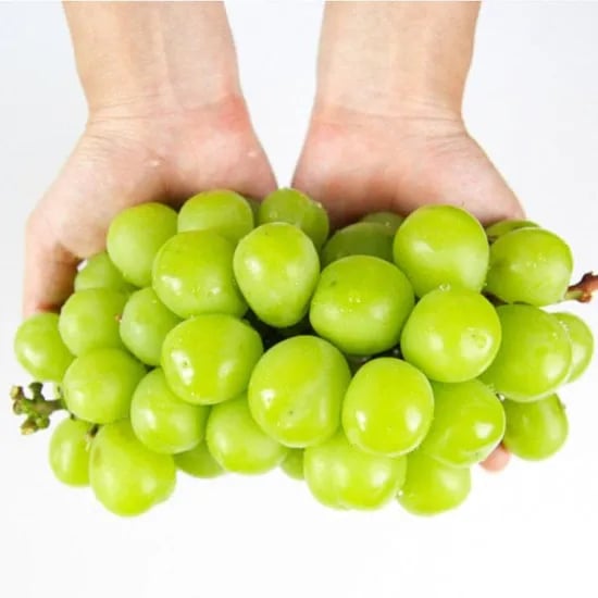 26년 햇 고당도 하우스 샤인머스켓 2kg 실중량 / 에어쉘 안전포장