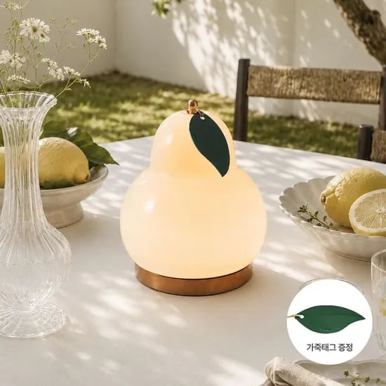 열매 포터블 램프 오트베이지 (2 Options)(+가죽태그) 무선 조명 단스탠드