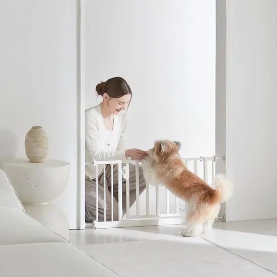 높이 42cm 소형견 전용 안전문