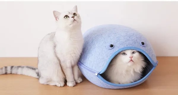 빅피쉬 고양이 펫하우스 고양이하우스 강아지하우스 (S급)
