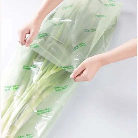 그린백 밀폐용기 과일 야채 신선보관 비닐백 XXL사이즈 13L 5p