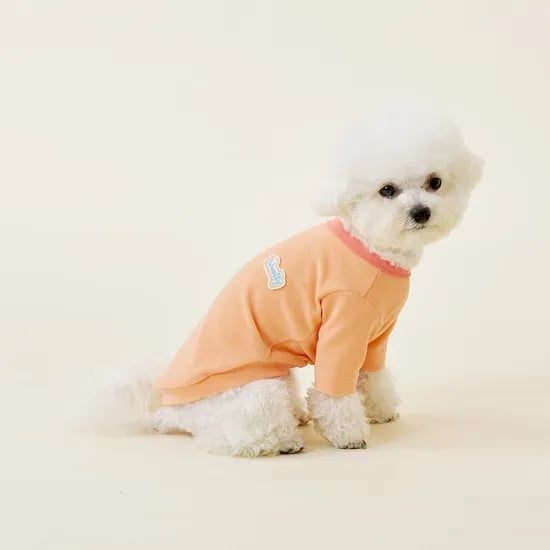 에어리웜 티셔츠 5size 4colors