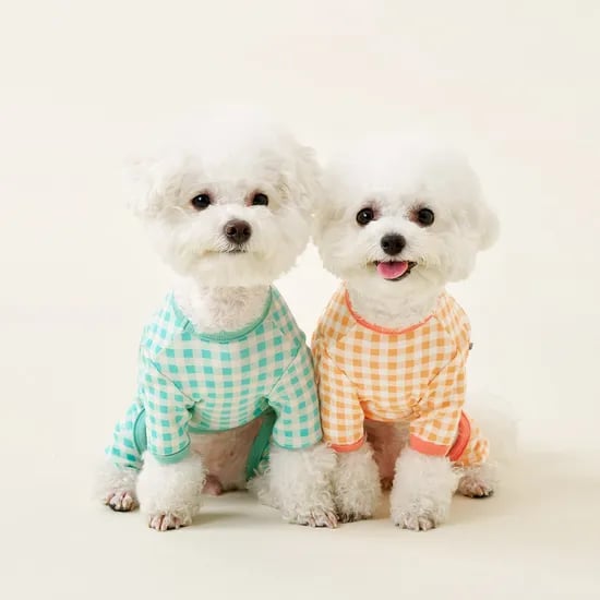 체크 밴딩 올인원 5size 3colors