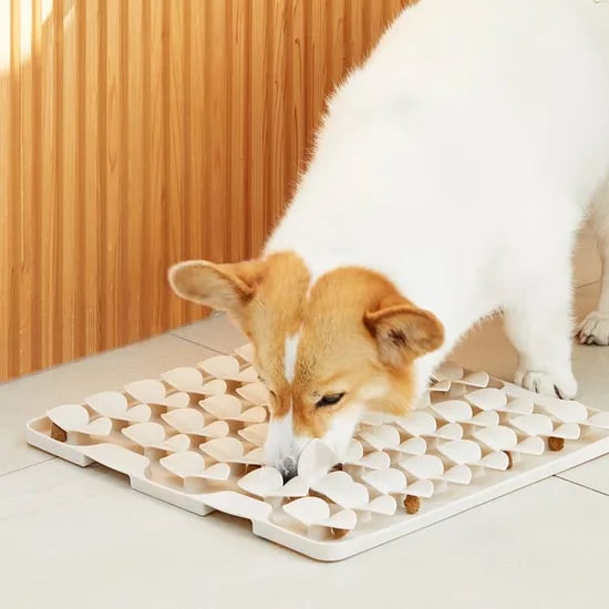 새싹매트, 실리콘 노즈워크 강아지 장난감 3size