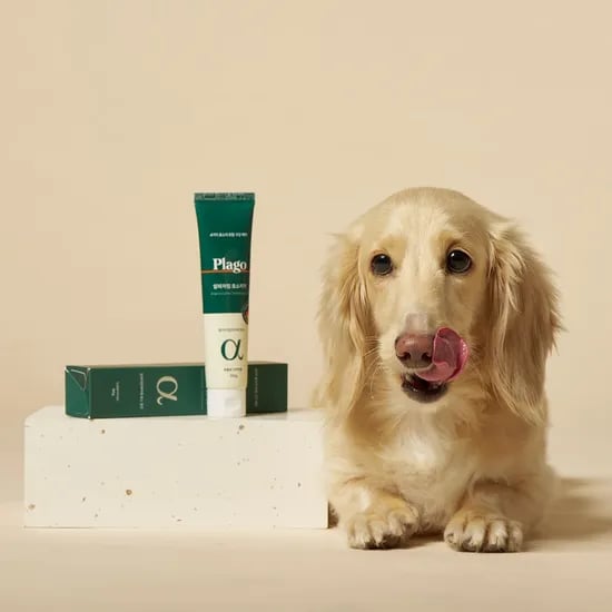 플라고 알파자임 효소치약 80g 강아지 고양이 입냄새 치석 제거 치약