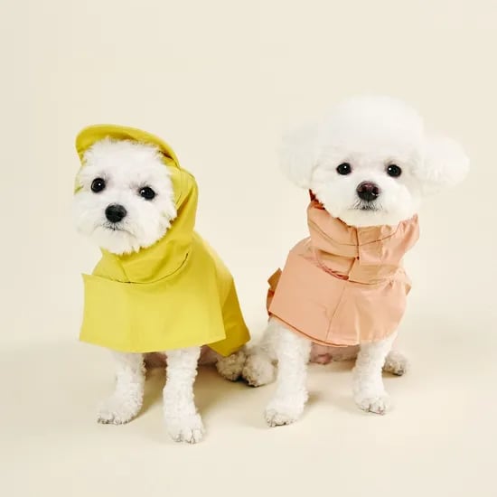 강아지 판초 우비 레인코트 4size 3colors