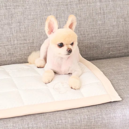 듀라론 강아지 쿨패드 냉감 고양이 쿨링 여름 패드 쿨 매트 방석