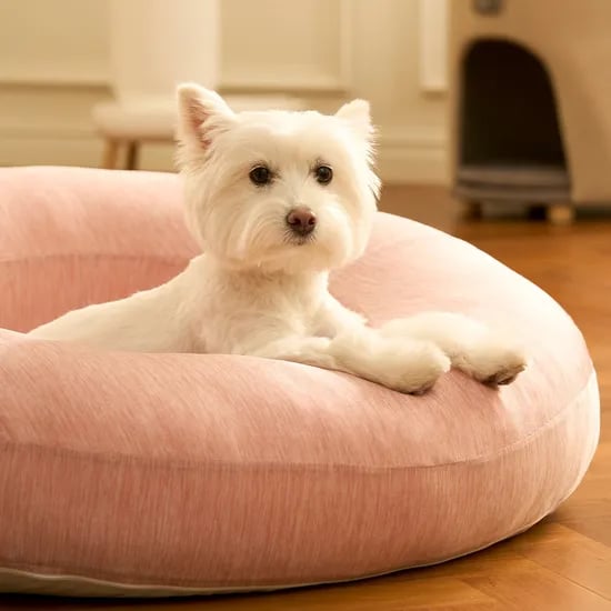 네스트베드 고양이 강아지 해먹 방석