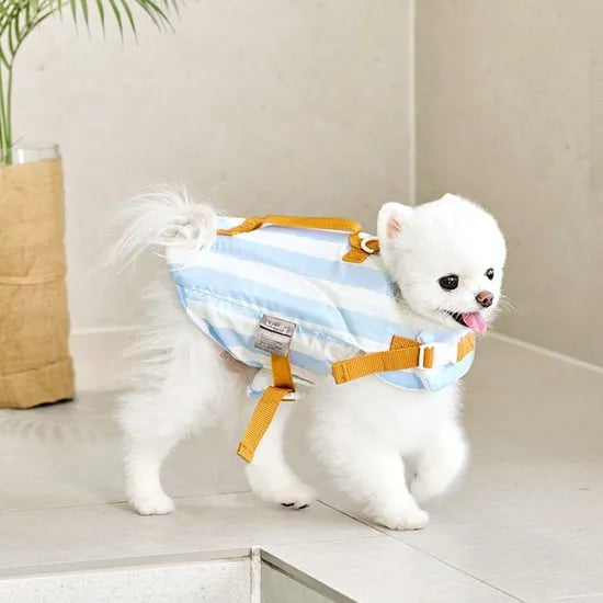 강아지 구명조끼 3size 2colors
