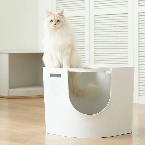 고양이 화장실 푸푸박스 투웨이
