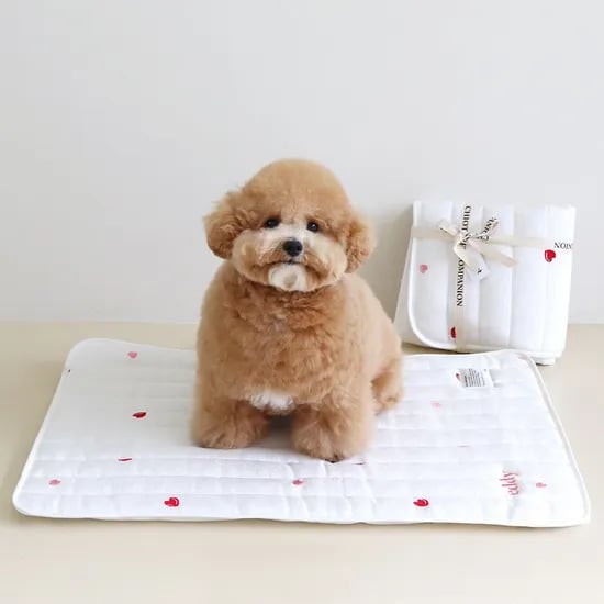 리프레쉬 인견 쿨매트 (하트) / 강아지 고양이 매트 방석