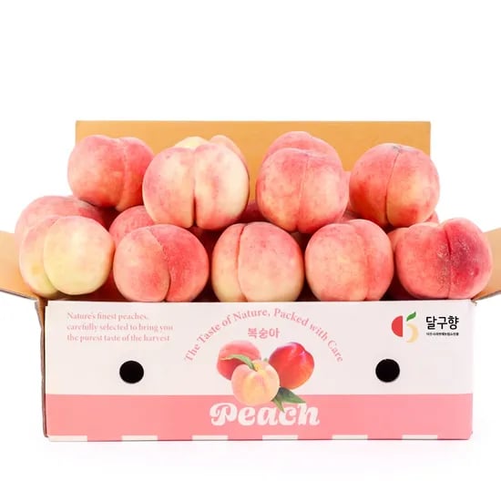아삭단단 딱딱이 고당도 백도 복숭아 2kg / 13일 순차발송