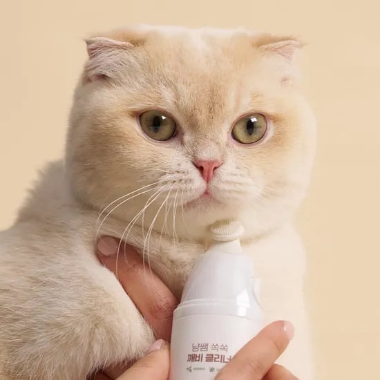 냥쌤 고양이 턱드름관리 쏙쏙 깨비 클리너 30ml 피지케어 고양이필수템