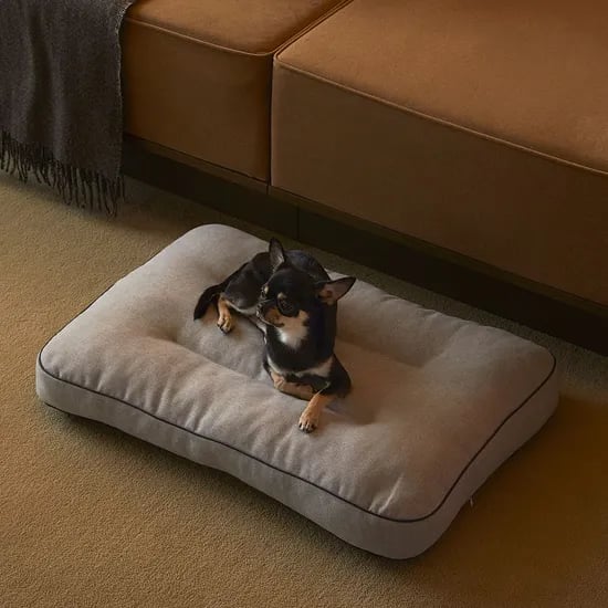 알러프리 알러지 걱정없는 강아지 고양이 방석 일체형 4size