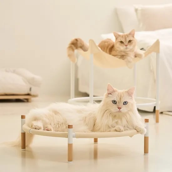 트램펄린 해먹 고양이 침대