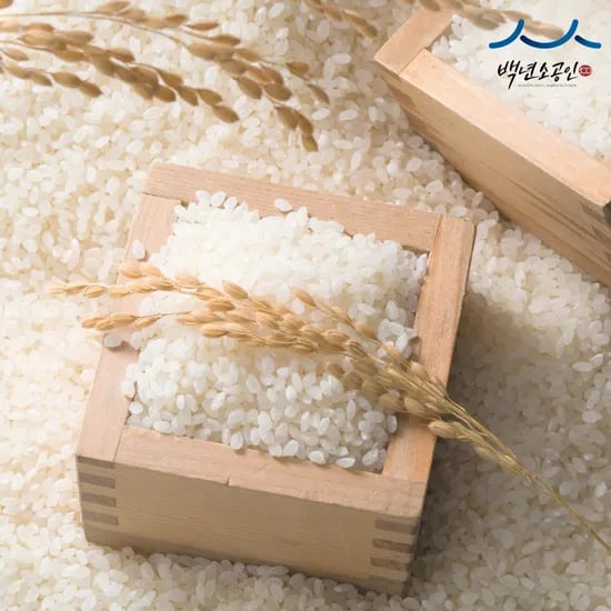 경기미 백진주쌀 10kg 찰진밥맛 25년산 햅쌀 단일품종