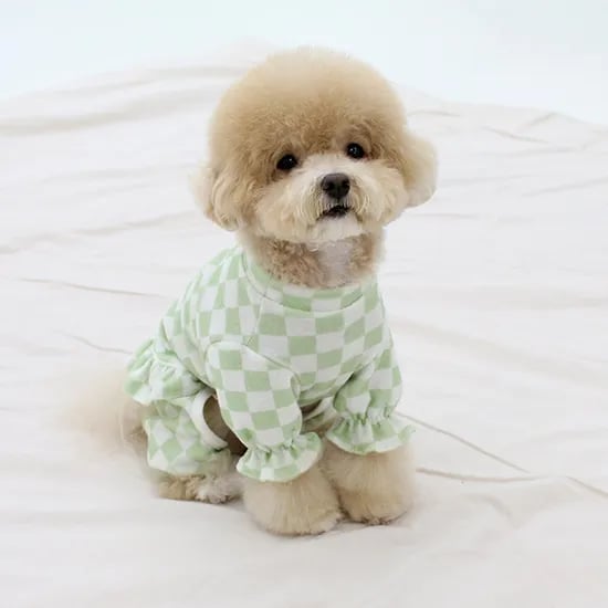 초코펫 강아지 옷 올인원 오가닉 파자마