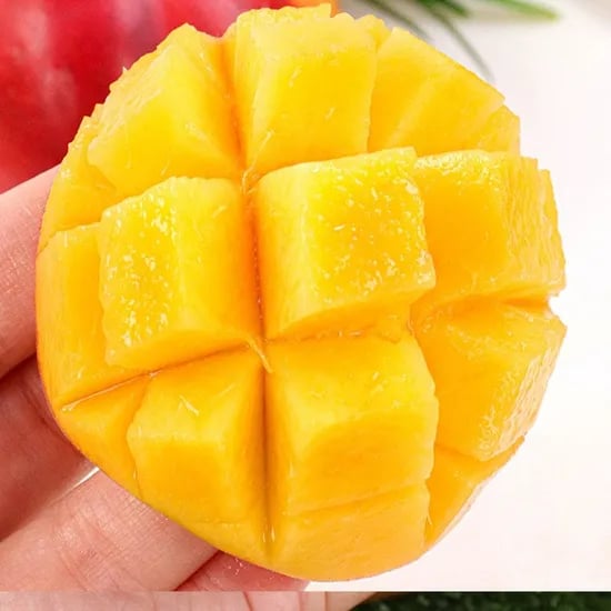 SNS 대란 망고복숭아 5kg 로얄과 외 반납작 대극천 / 황도복숭아까지