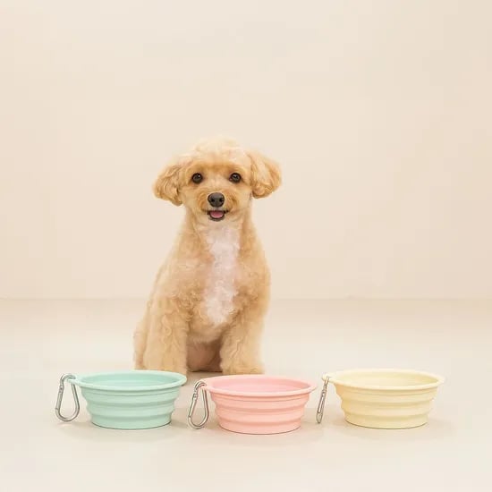 산책용 실리콘 강아지 물그릇 밥그릇 고양이 휴대용 접이식 실리콘 식기