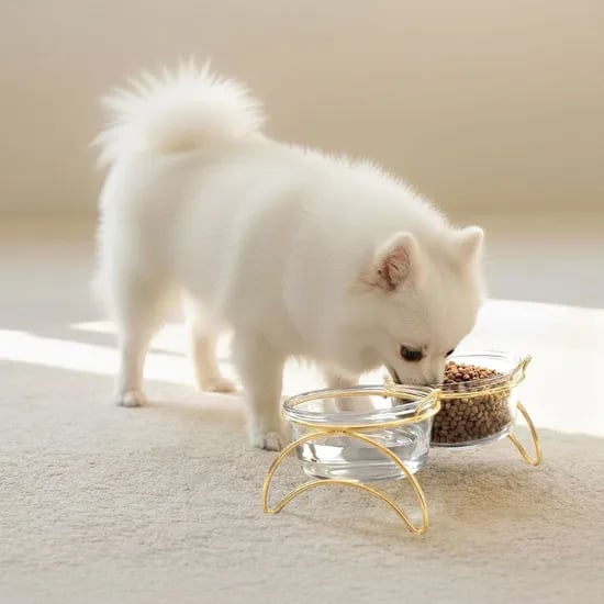 프리미엄 유리 강아지 밥그릇 고양이 물그릇 식기 식탁세트