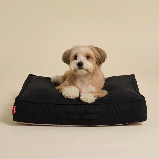 코지팟 사각 강아지 커버분리 애착 방석 고양이 쿠션 2size 5colors
