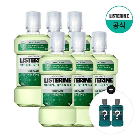 그린티 마일드 750ml x6+(증정)250ml x2 랜덤(마일드)