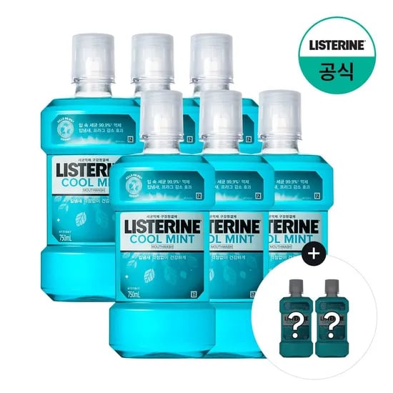쿨민트 750ml x6+(증정)250ml x2 랜덤(스트롱)