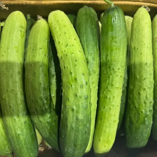 신선한 백다다기 오이 2kg 실중량 외 3kg ~ 9kg 중량선택
