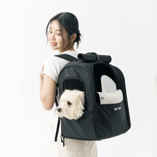 강아지 이동가방 반려견 백팩 애견 고양이 이동장 쿠션제공 마일러백팩