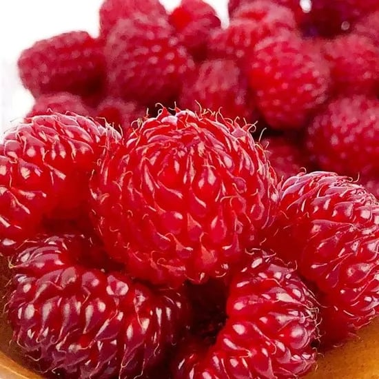 당일수확 싱싱한 생 산딸기 250g 1팩 / 2팩 / 3팩 / 4팩