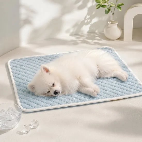 멍크 강아지 쿨매트 애견 반려견 냉감 쿨방석