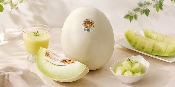 프리미엄 털록 캘리포니아 허니듀 멜론 2~6수 개당 1.8kg 이상