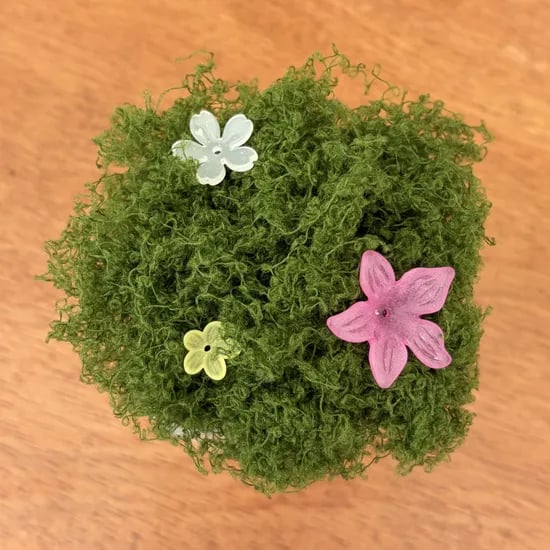DIY 이끼화분 꾸미기 키트