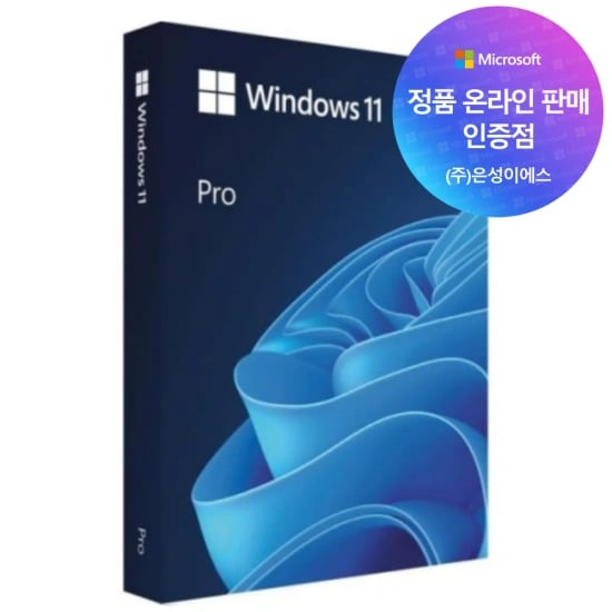 Windows 11 Pro FPP 정품USB [온라인공인인증점] (26만원)