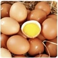 블프 코인딜)31종 고기류 식재료 간식 음료 QCY 등 유정란(4,308원) 구운치킨(3,587원) 허쉬 핫초코(4,166원) 방울토마토(3,160원) 카이막(10,037원) 총알한치(3,122원) 꽃게장(12,238원)15