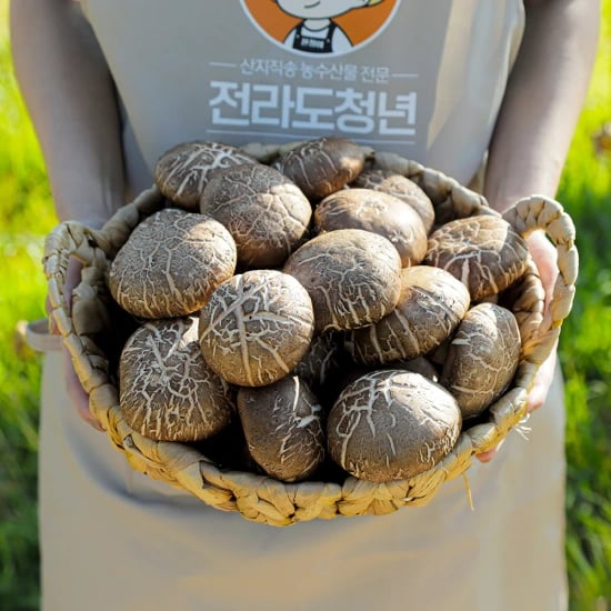 코인딜) 해물 감바스 전자렌지 4분 OK(4,290원/무료) 쭈꾸미 볶음 300g*3(10,173원/무료) 신세계 피자 4팩(11,502원/무료) 굳지않는 앙금절편 1kg(4,101원/무료) 등 코인딜2