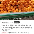 제주 효돈 감귤 고당도 3kg (11,900원/무배)