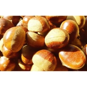 부여군 24년 햇밤 칼집밤 뜨래밤 군밤용 대품 국산2kg(23,900원/무배)2